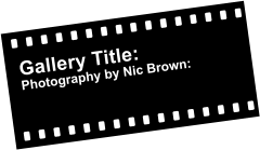 Gallery Title: Photography by Nic Brown: